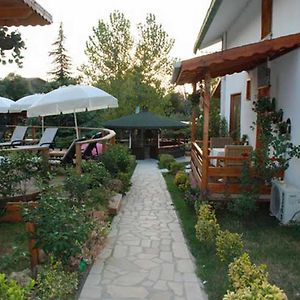 Treetops Park Hotel